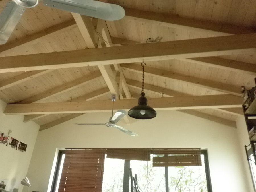 Photo 82215007