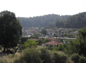 Μονοκατοικία, Κασσάνδρα