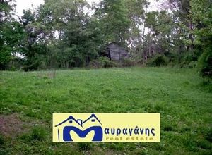 Land Plot, Paradeisos