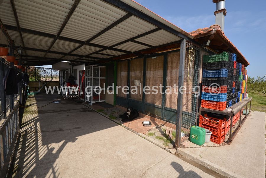 ΑΚΙΝΗΤΑ ΠΙΕΡΙΑΣ ΚΑΤΕΡΙΝΗΣ GREECE REAL ESTATE GREEK HOME