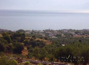 Ξενοδοχείο προς πώληση Χράνοι (Αίπεια) 1.500 τ.μ.