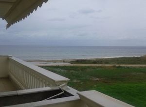 Διαμέρισμα προς πώληση Μουριές (Μουδανιά) 60 τ.μ. 2 Υπνοδωμάτια