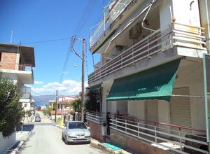 Studio/Γκαρσονιέρα προς πώληση Κ. Σκάλας Ωρωπού Χαλκούτσι 33 τ.μ. 1 Υπνοδωμάτιο