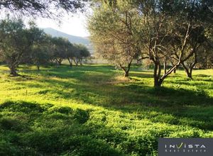 Μονοκατοικία προς πώληση Νάξος 127 τ.μ. 2 Υπνοδωμάτια