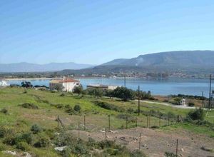 Plot view