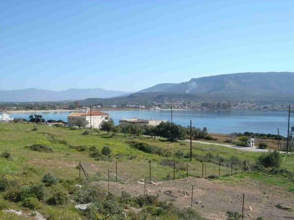 Plot view
