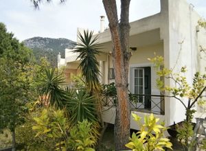 Διαμέρισμα προς πώληση Δάφνη (Μεσσαπία) 34 τ.μ. 1 Υπνοδωμάτιο