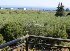 Μονοκατοικία προς πώληση Καλύβες Πολυγύρου (Πολύγυρος) 220 τ.μ. 4 Υπνοδωμάτια