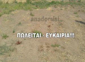 Διαμέρισμα προς πώληση Παλαγία (Αλεξανδρούπολη) 1.400 τ.μ.