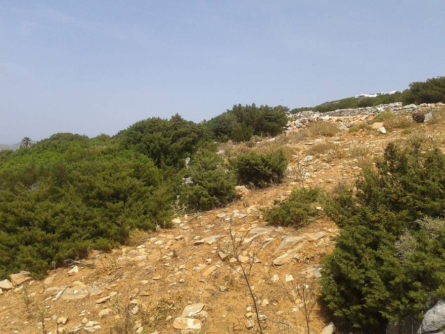 Photo 89631928