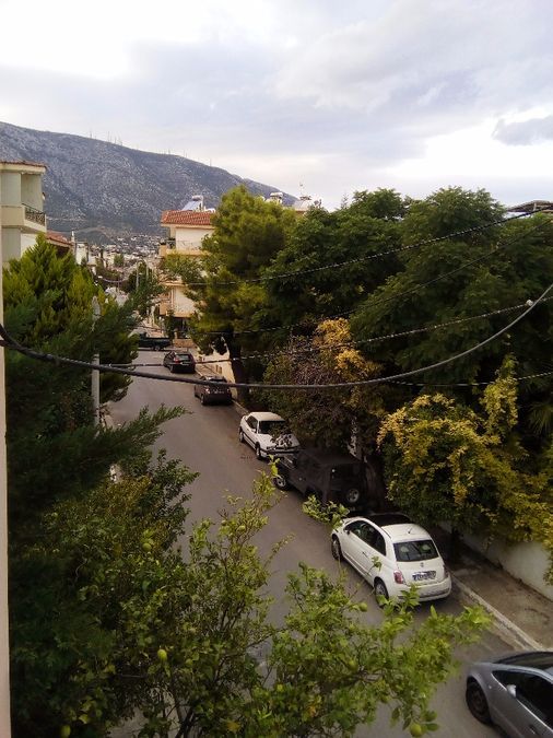 Photo 95841835