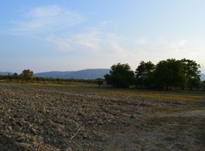 Land Plot for sale Main town area Main town - Chora 23,000 m<sup>2</sup>
