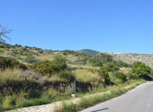 Land Plot for sale Elatio 23,000 m<sup>2</sup>