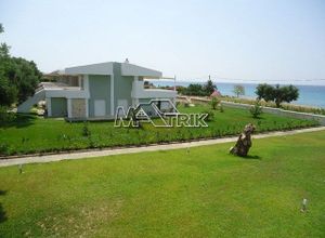 Μονοκατοικία προς πώληση Μόλες Καλύβες (Κασσάνδρα) 165 τ.μ. 4 Υπνοδωμάτια