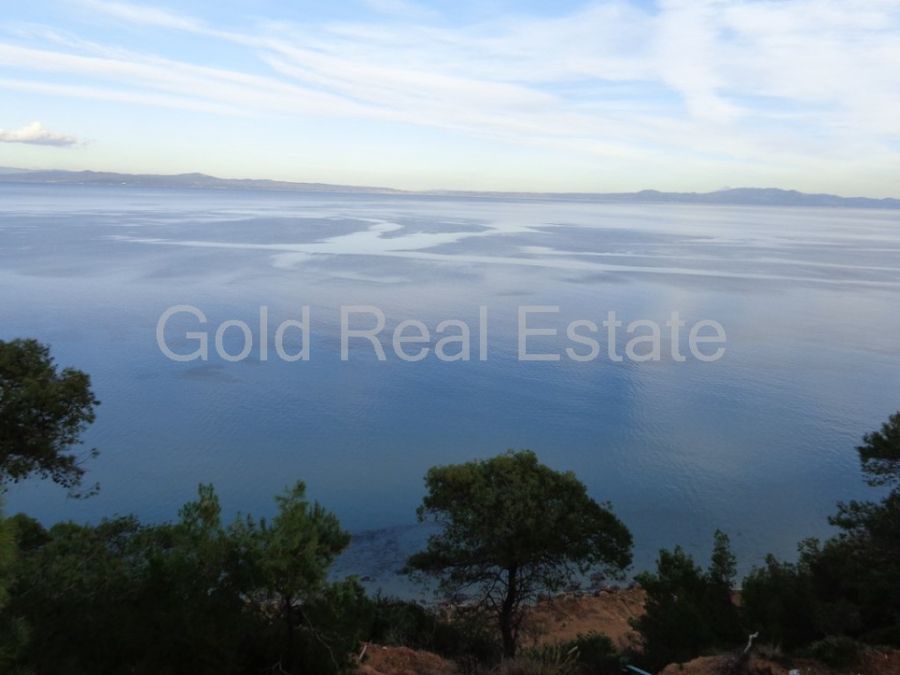 GOLD REAL ESTATE GROUP ΑΚΙΝΗΤΑ ΠΙΕΡΙΑΣ GREECE KATERINI