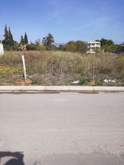Photo 96658372
