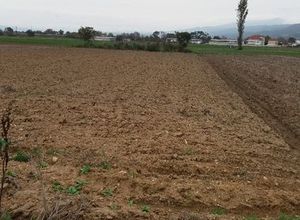 Αγροτεμάχιο προς πώληση Λαγκαδάς Λαγυνά 4.000 τ.μ.