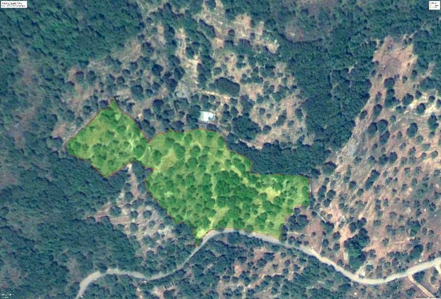 Photo 98646685