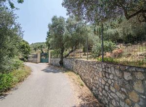 Fotografija 98650690