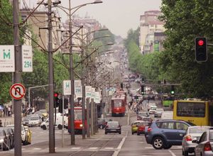 Fotografija 98651566
