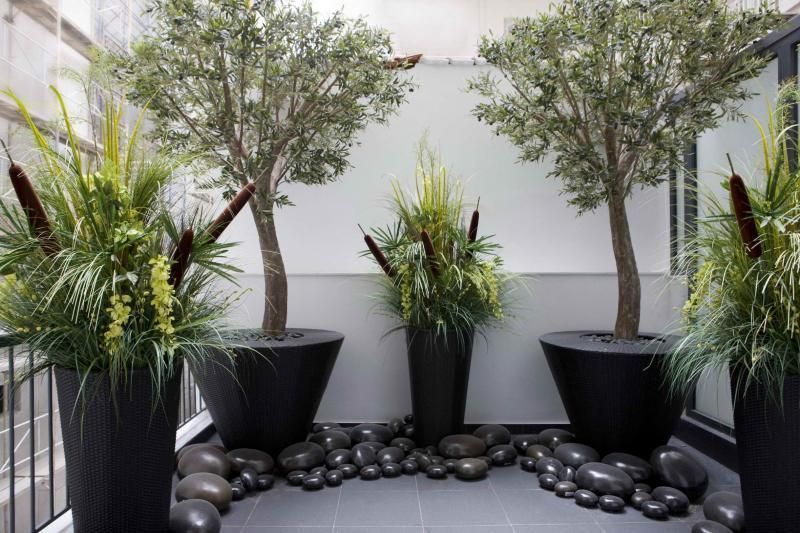 Fotografija 98673403