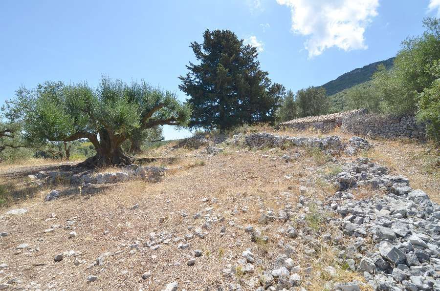 Photo 98680987