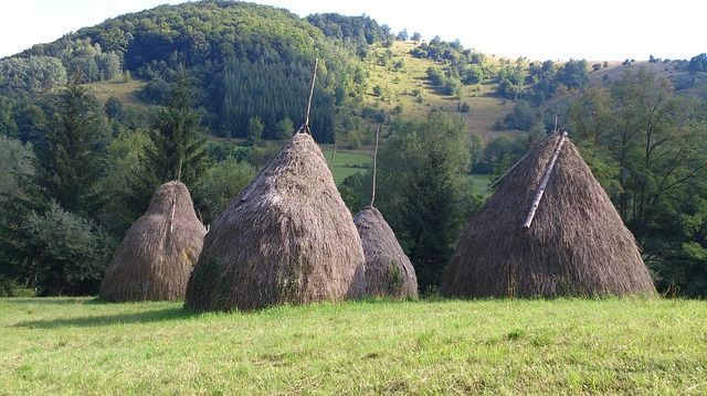 Foto 98690470