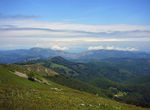Photo 98690476