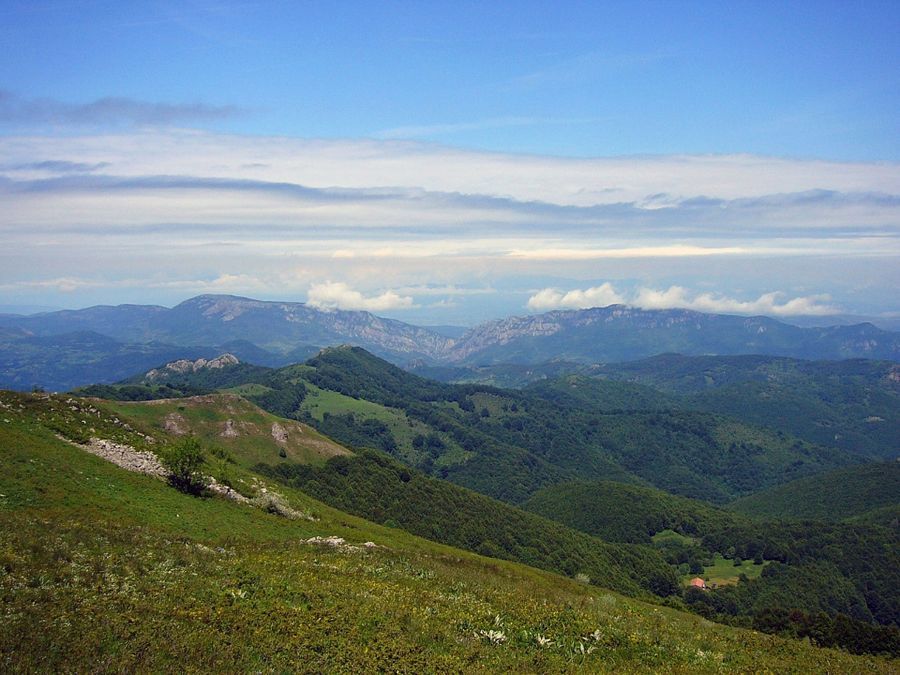 Photo 98690476