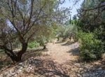 Photo 98692075