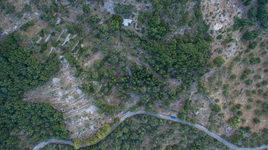 Fotografija 98694787