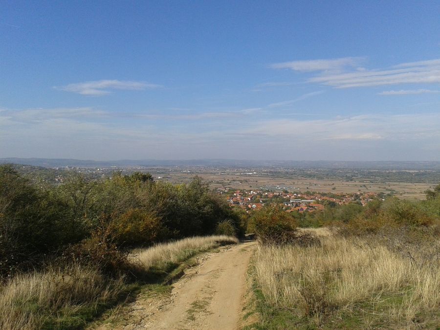 Photo 98705251