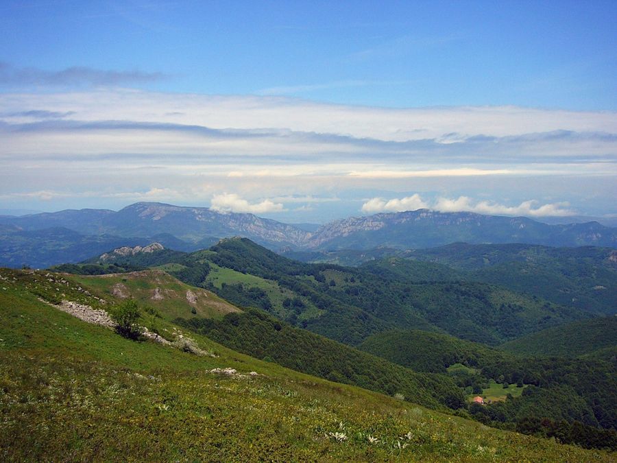 Photo 98720353