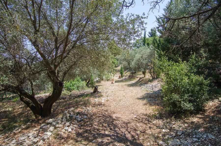 Photo 98725132