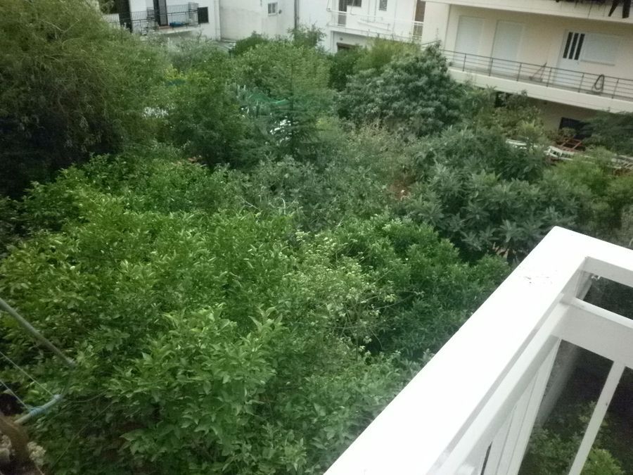 Photo 99010417