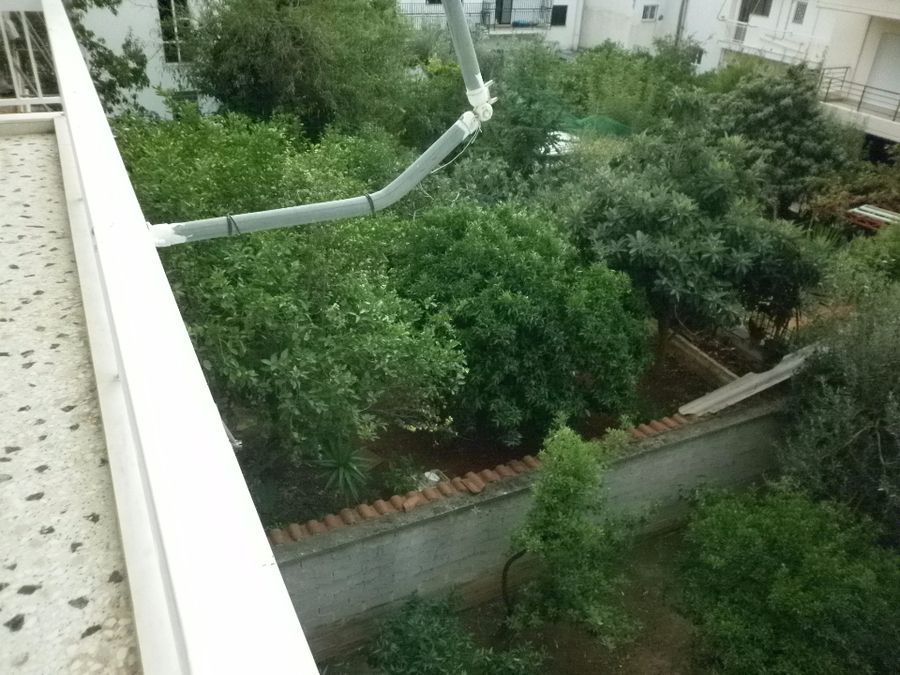 Photo 99010423