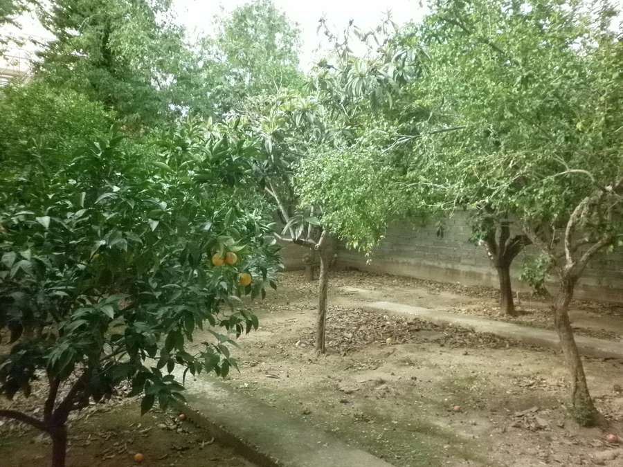 Photo 99010438