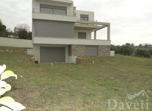 Detached House, Panorama