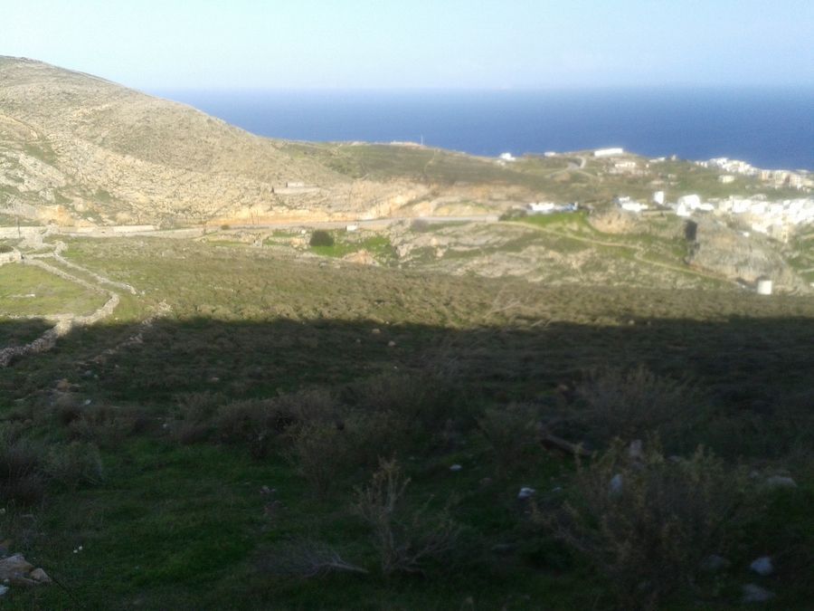 Photo 99982636