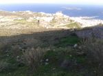 Photo 99982639