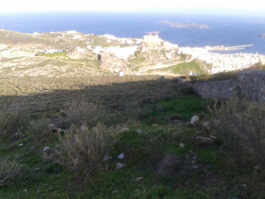 Photo 99982639